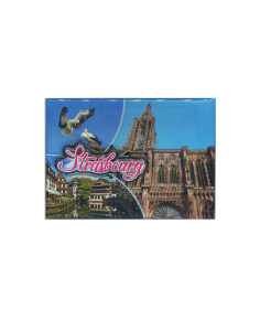 2D Magnet Strasbourg,epoxitharz, - erhabener Druck Strasbourg,8x5,9cm